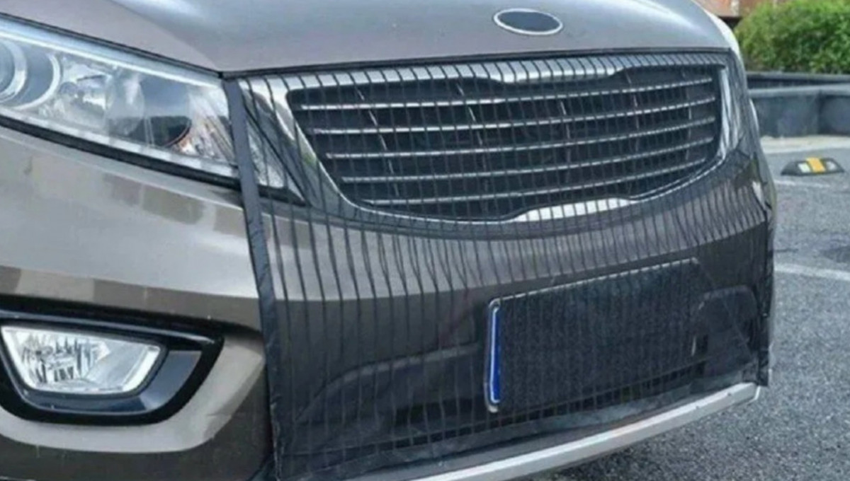 Radiator Mesh: Engine Saver or Silent Killer?