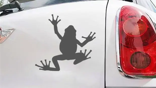 Why Thousands of Drivers Are Putting Frogs on Their Cars