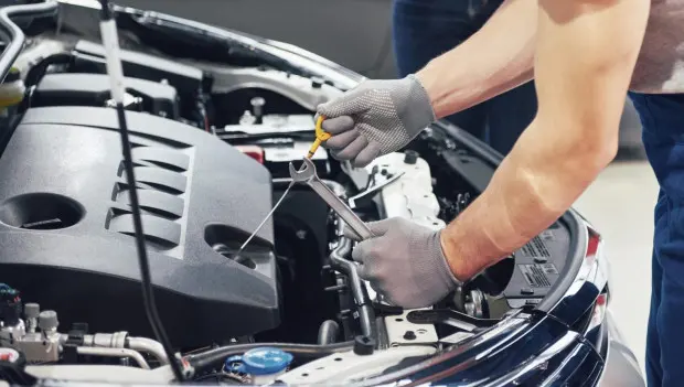 Even the Germans Aren’t Ashamed of These Cars: They’ll Outlive Their Owners