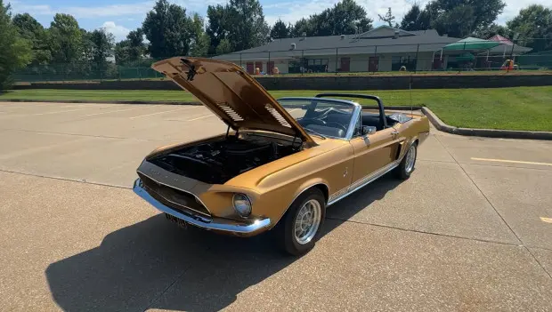 1968 Shelby Mustang GT350 Has It All: Restored, Rare Color, Matching Numbers