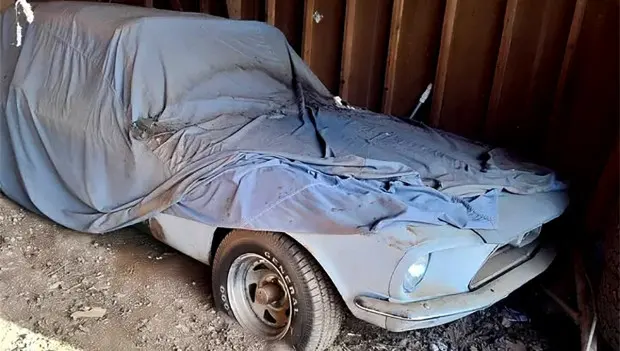 Rare 1967 Ford Mustang Could Return to the Road After Years in a Barn
