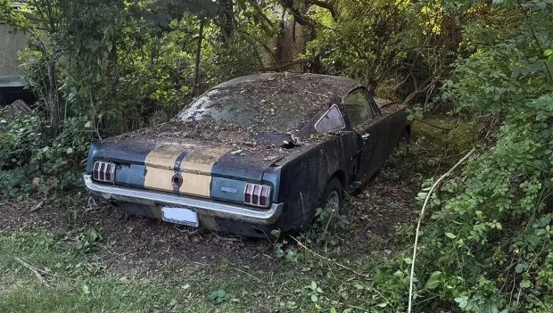 This Shelby-Style 1966 Mustang Was Left to Rot—and Someone Still Wants $15,000 for It