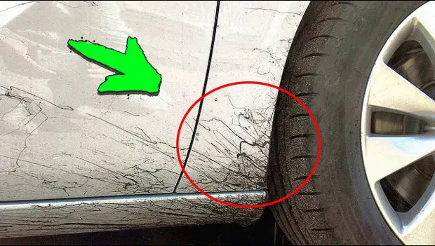 5 Easy Ways to Remove Tar, Tree Sap, and Bug Splatter From Your Car Without Damaging the Paint
