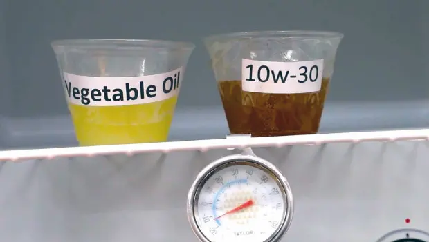 They Put Vegetable Oil in a Car Engine Instead of Regular Oil: Weird Test & Unexpected Result
