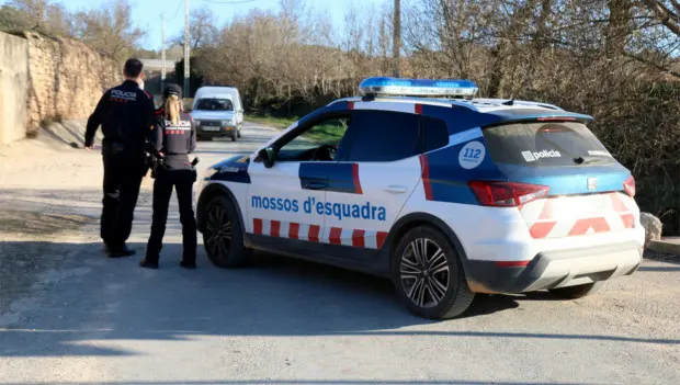 En España, policías de tráfico fueron atacados por abejas