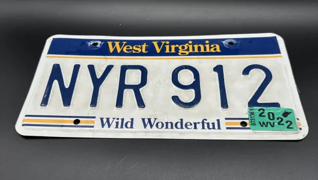 Your Car’s “Horoscope”: What Your License Plate Number Says About Your Ride