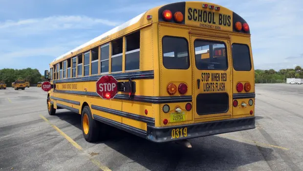 Why U.S. School Buses Have Black Stripes on the Sides — And What They’re Really For
