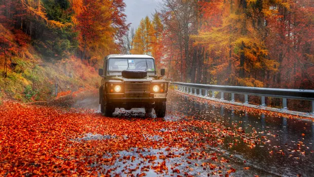 Unsichtbare Falle: Wie gewöhnliches Herbstlaub Autofahrern ernsthafte Probleme bereiten kann