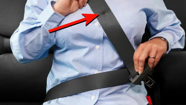 What’s That Little Button on Your Seat Belt For? The Answer Might Surprise You