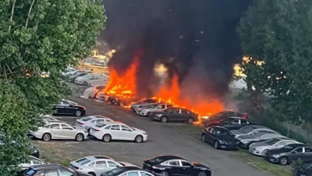 Poplar Fluff Sparks Massive Fire, Destroys 20 Brand-New Geely EVs in China