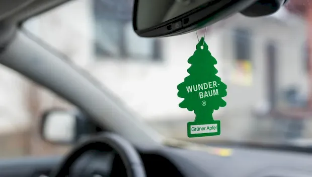 Unexpected Ways to Use Bay Leaves in the Car - Informative Lifehack