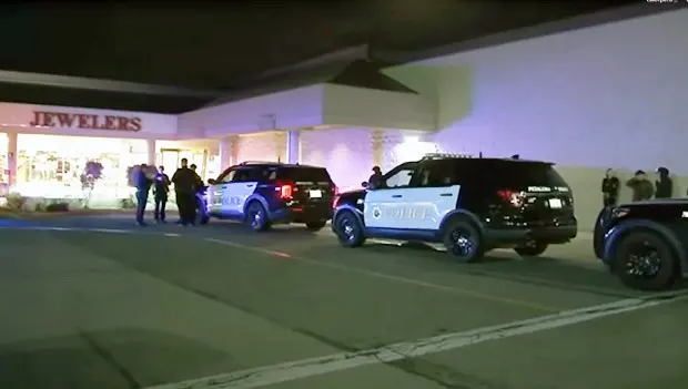 Hero of the Moment: California Bystander Foils Robbery by Crashing Thieves’ Car Into Store