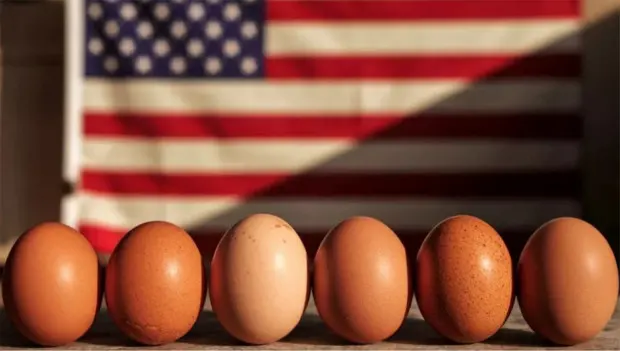 It Sounds Crazy: Fixing a Leaking Radiator with Eggs—Tried and True