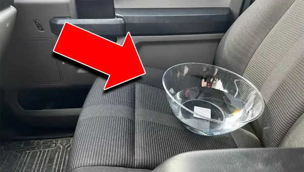 Why Are Drivers Putting a Bowl of Water in Their Cars? The Strange Fuel-Saving Trick Explained