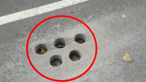 Many American drivers notice round holes in the asphalt — most don’t know why they’re there