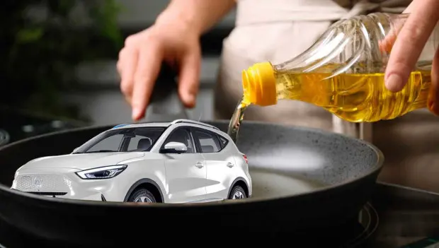 Not Just for Cooking: Why Some Drivers Keep Cooking Oil in the Glove Box