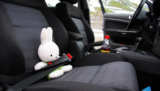 What Shouldn't Be Stored in a Car in the Heat? Breaking it Down by Points — Personal Experience