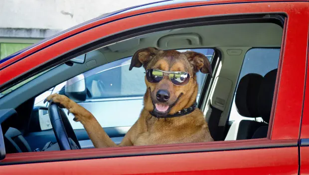 Weekly Driving Horoscope for April 13–17