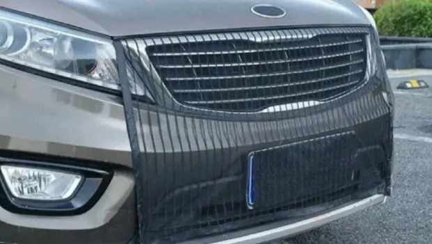 Radiator Mesh: Engine Saver or Silent Killer?
