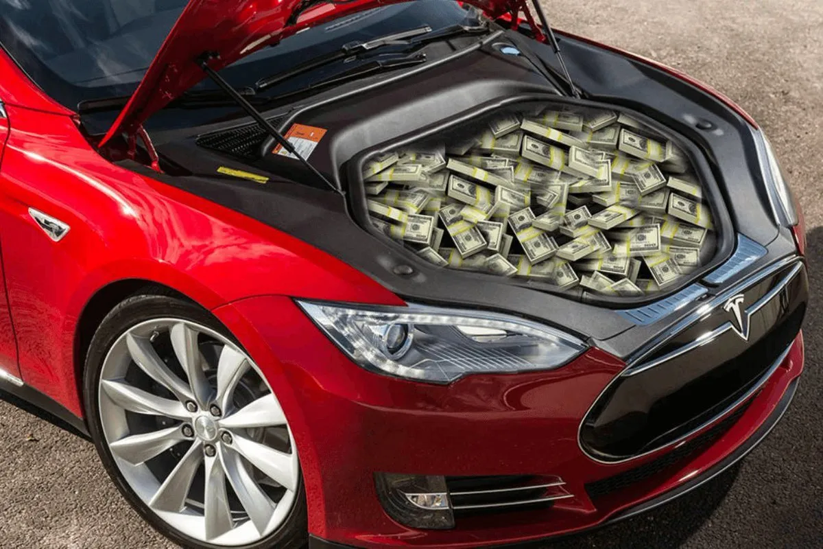 Tesla owners can earn in taxi service