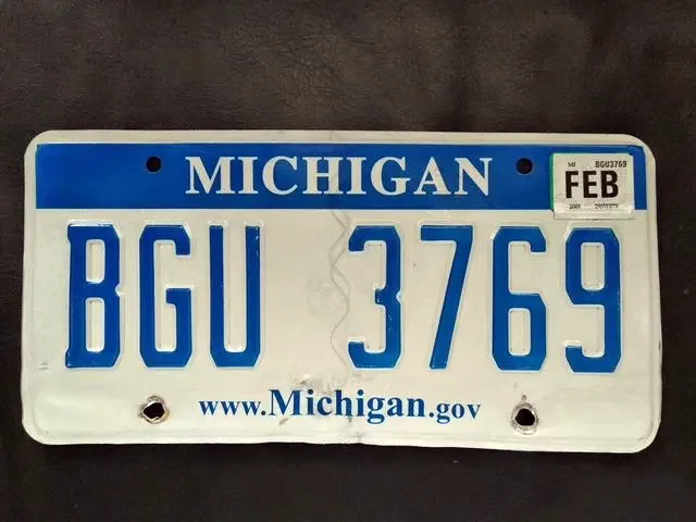 License plate sample