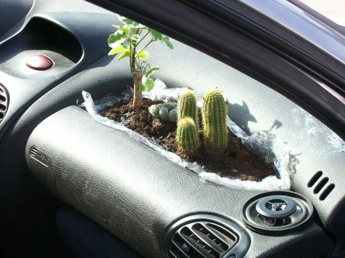 Items You Shouldn't Keep in a Car